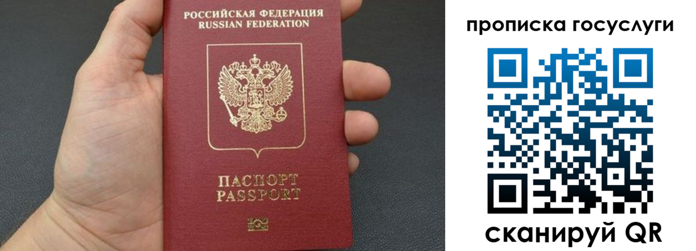 купить прописку в Стародубе